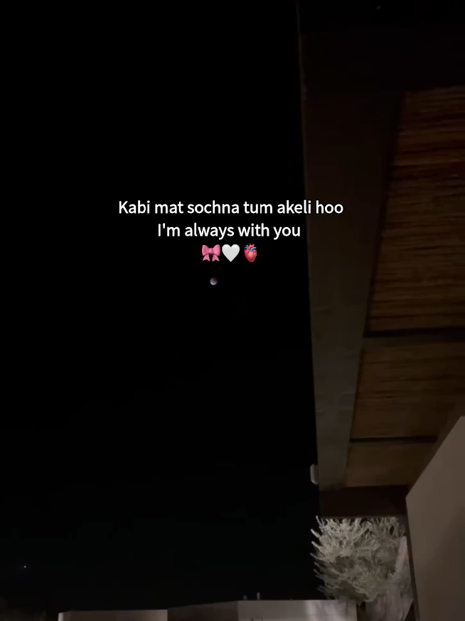 @Z A Y A N ⋆