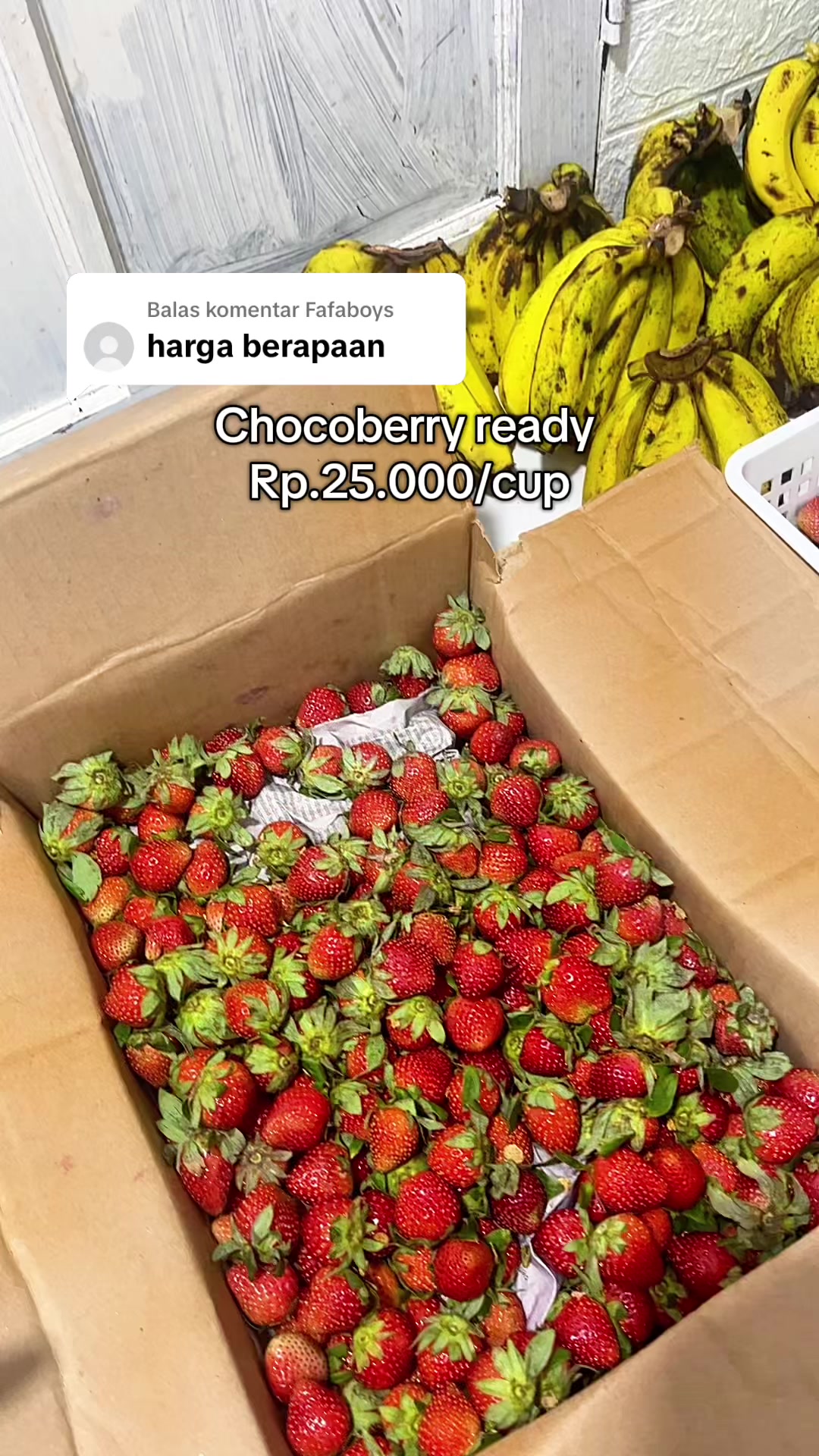 @SERBA BUAH PADANG