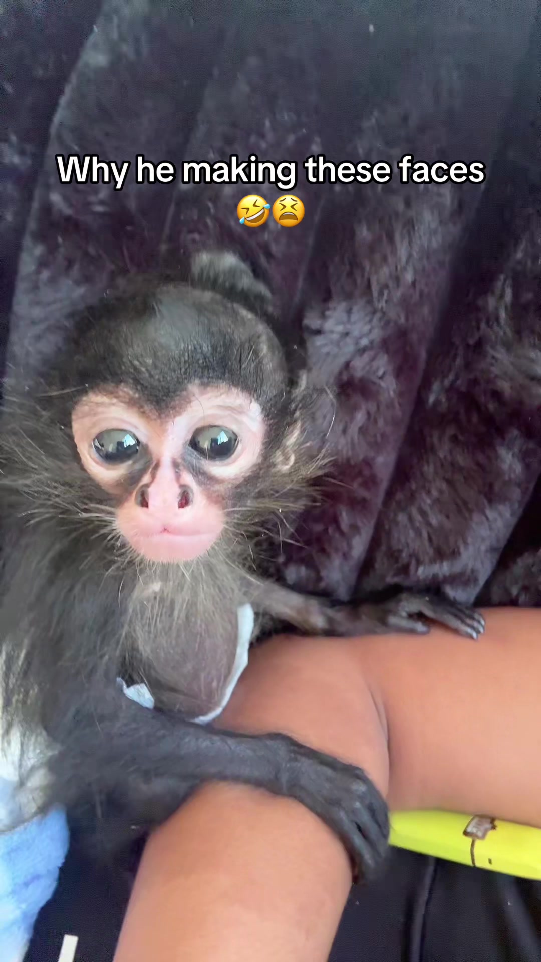 @OJTV & Mojo Jojo🧡