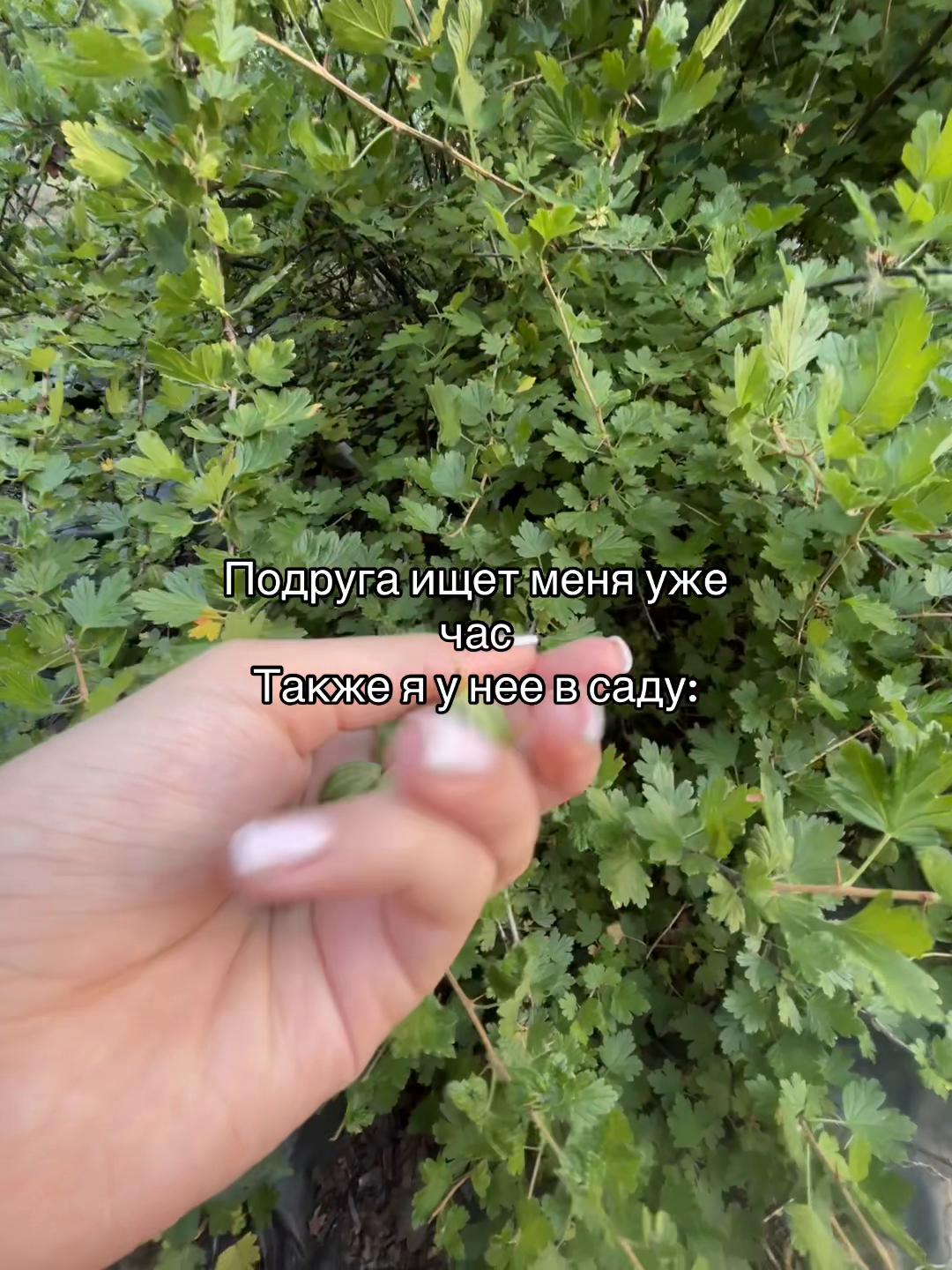 @🥝Kivi🥝
