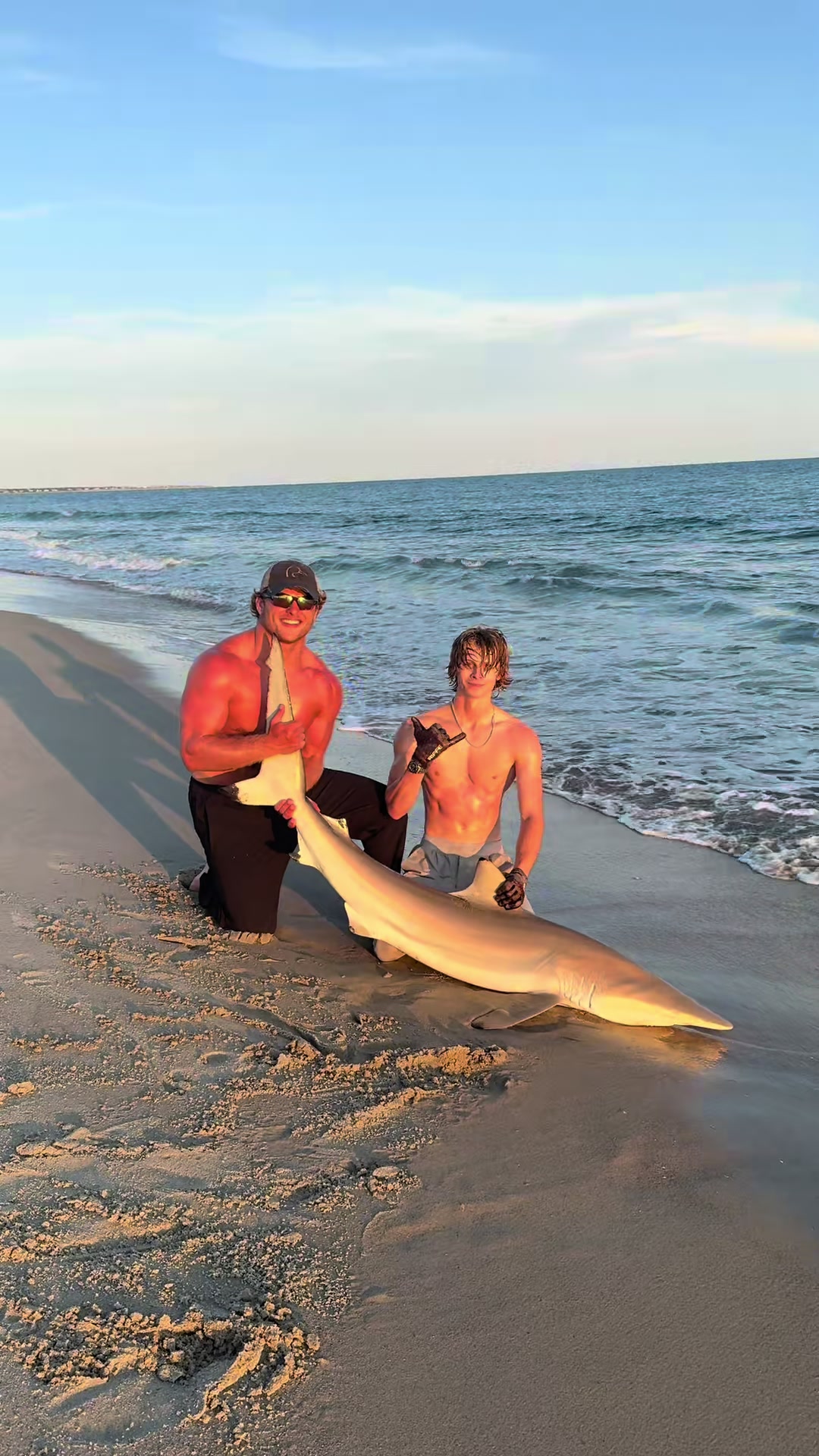 @ILM Shark Club