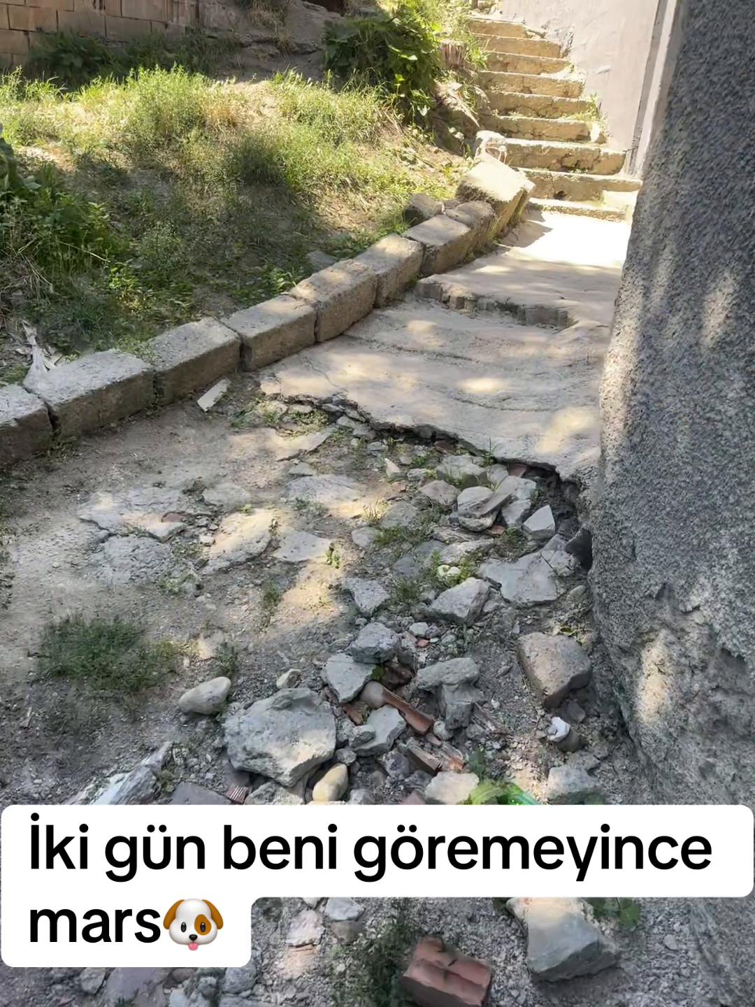 @TÜRKAN ŞİMŞİR