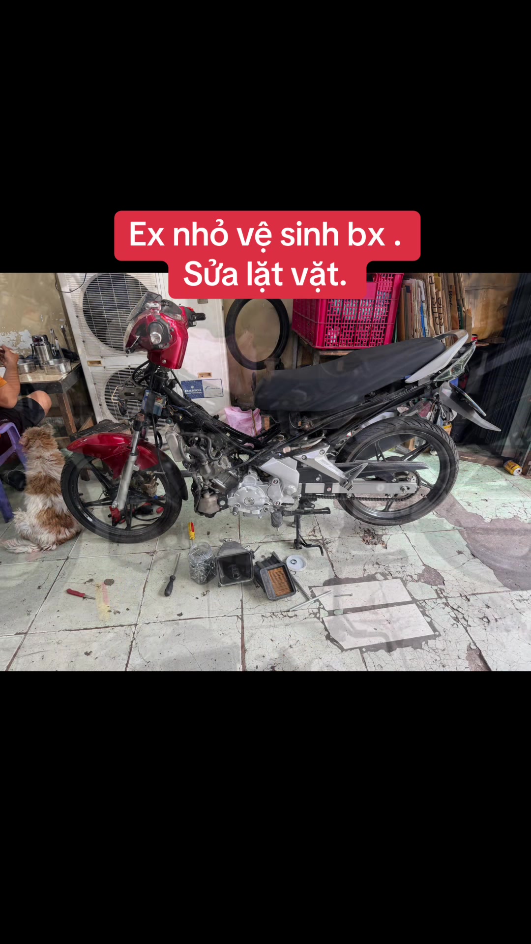 @Shop trọng qu&iacute; nguyễn