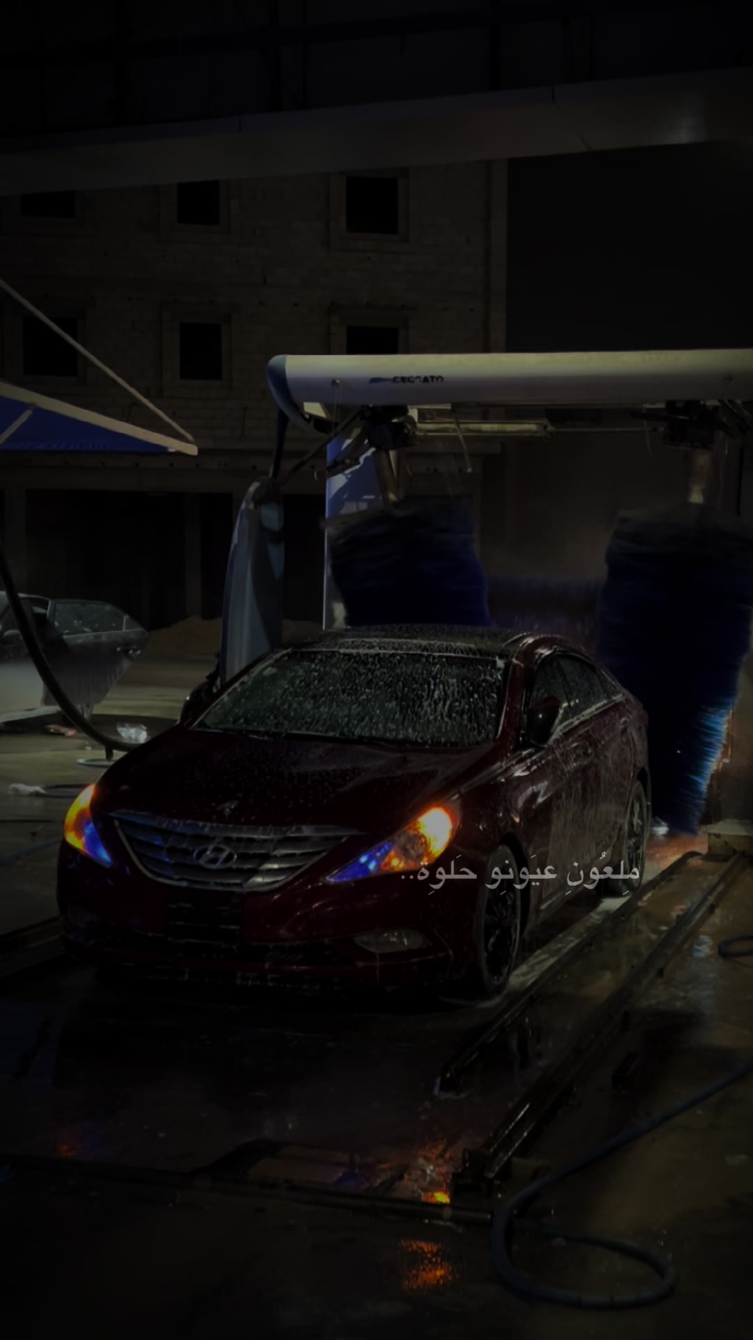 @محمد الهيبة🌚