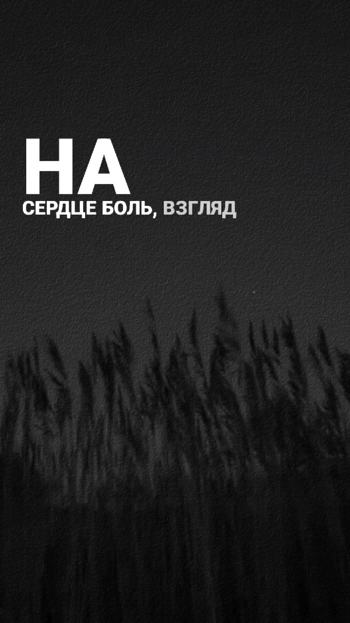 @Carpe.Memento.🖤