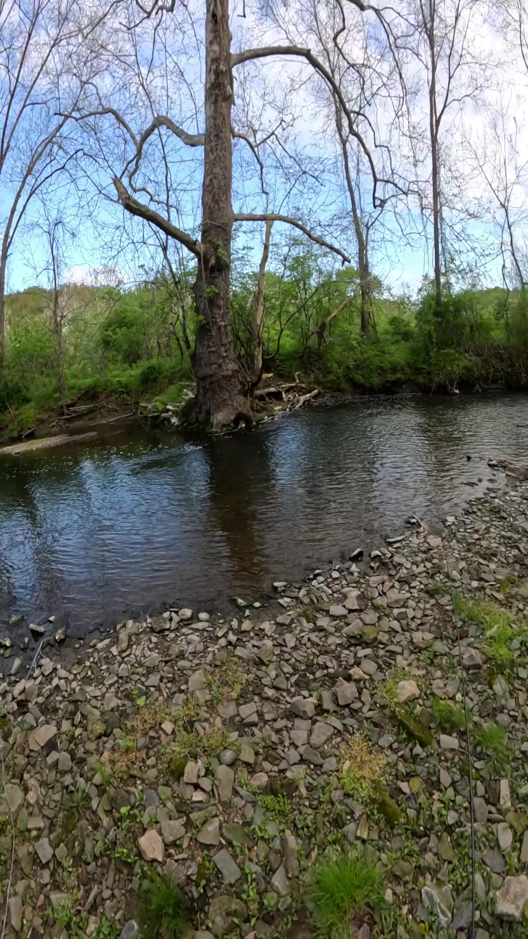 @FlyFishDelawhere