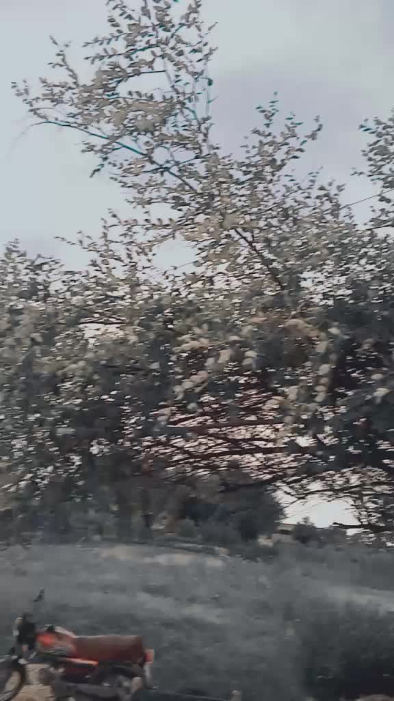 @🌹ملک جمال مچڑ🥀