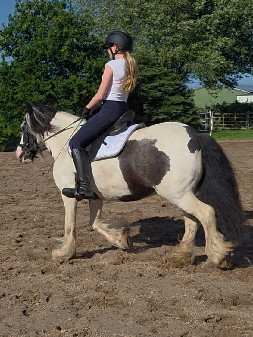 @Josys_Ponyhof-leben