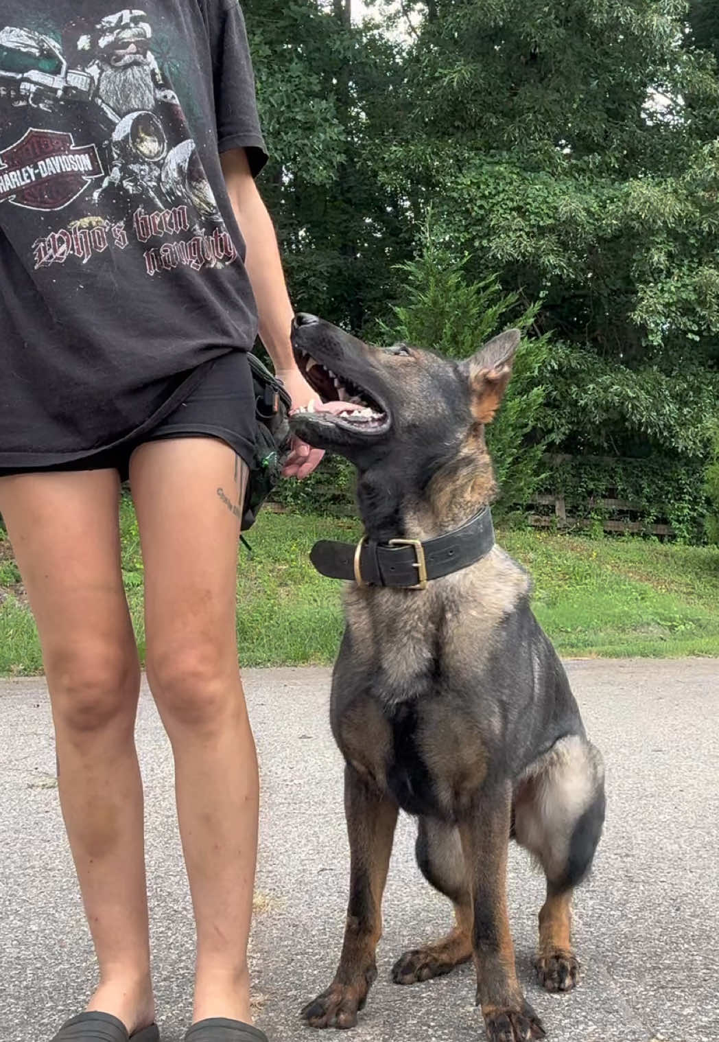 @True Guard K9 I Tara