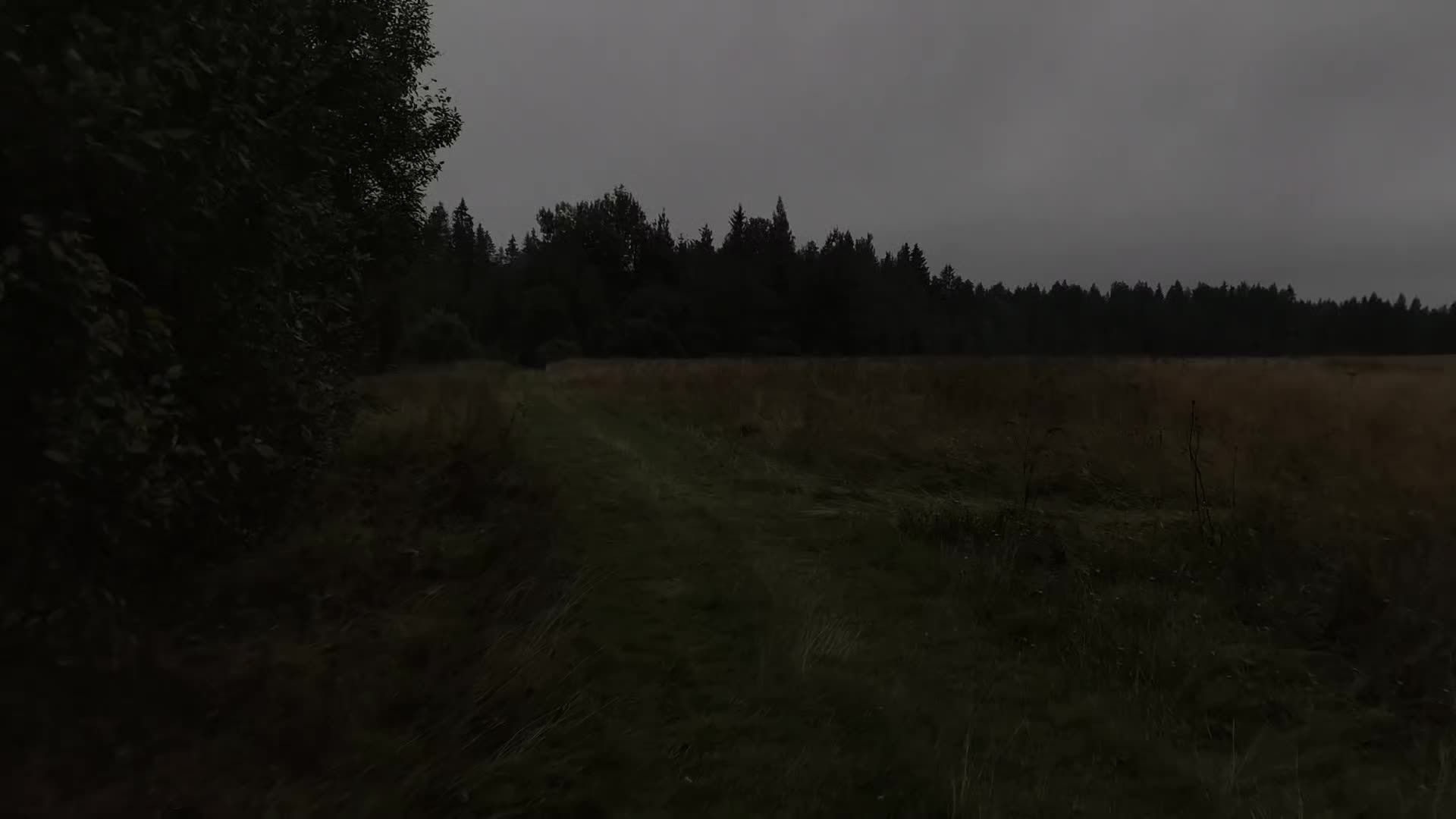 @C u r s e d  L i f e