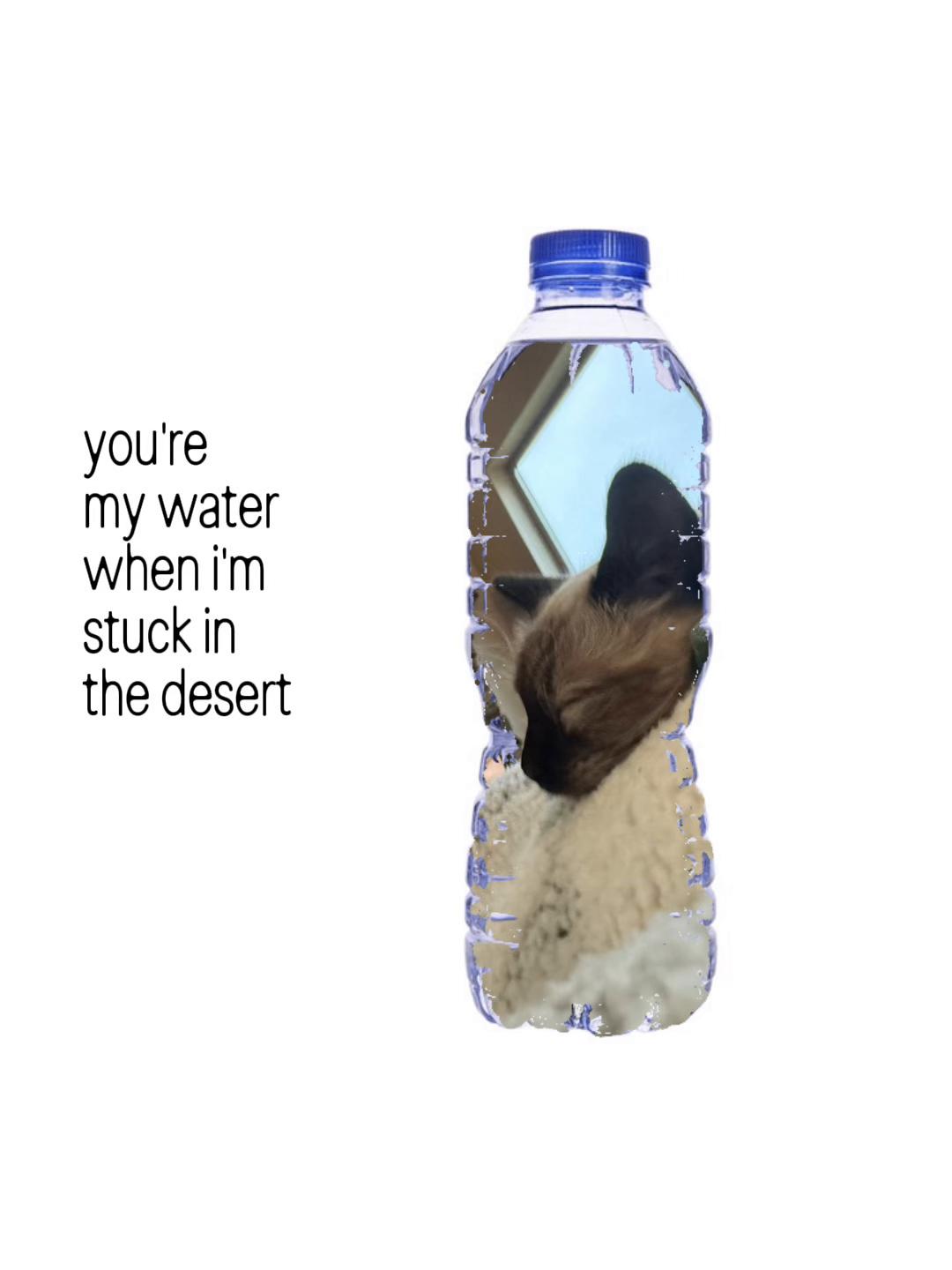 @Sarah🩵