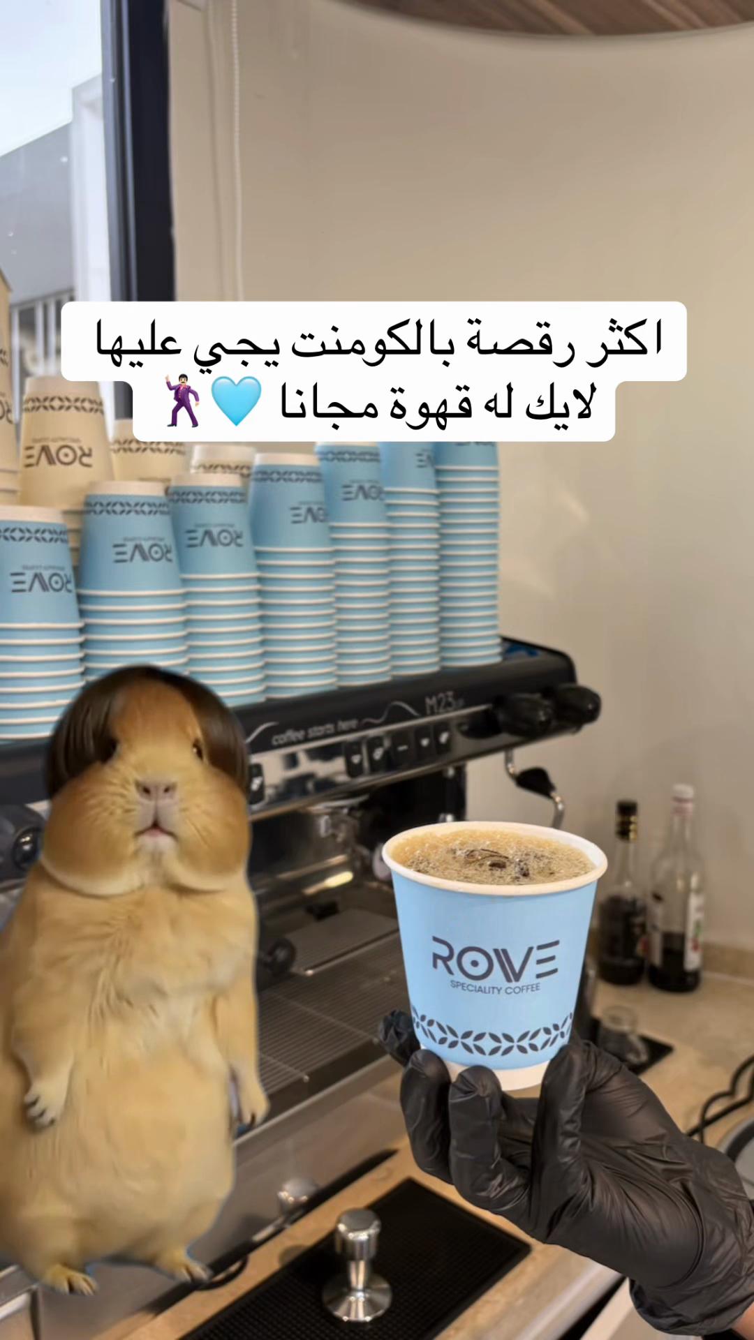 @rovecafe_sa
