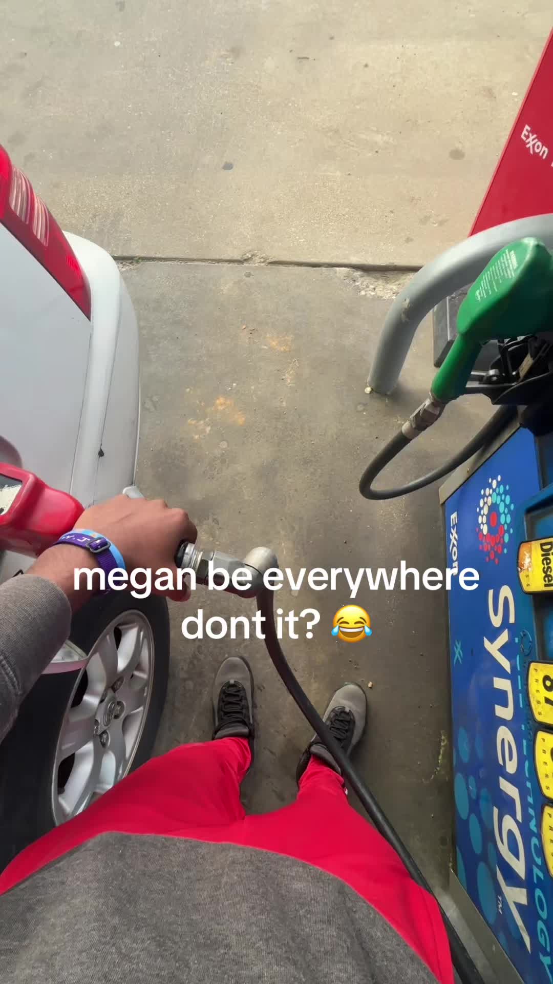 @KT 🦍