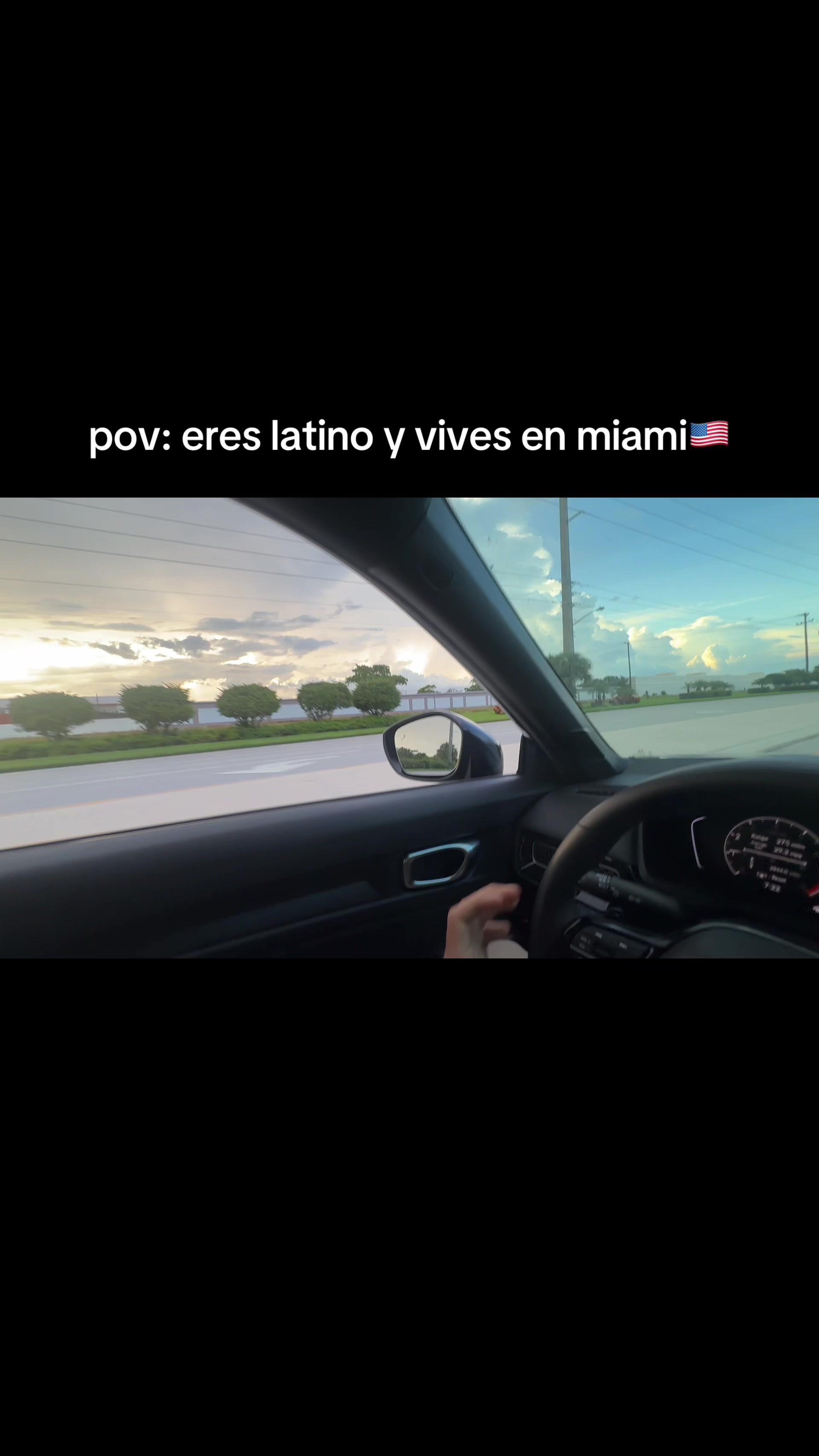 @mendiolaenusa