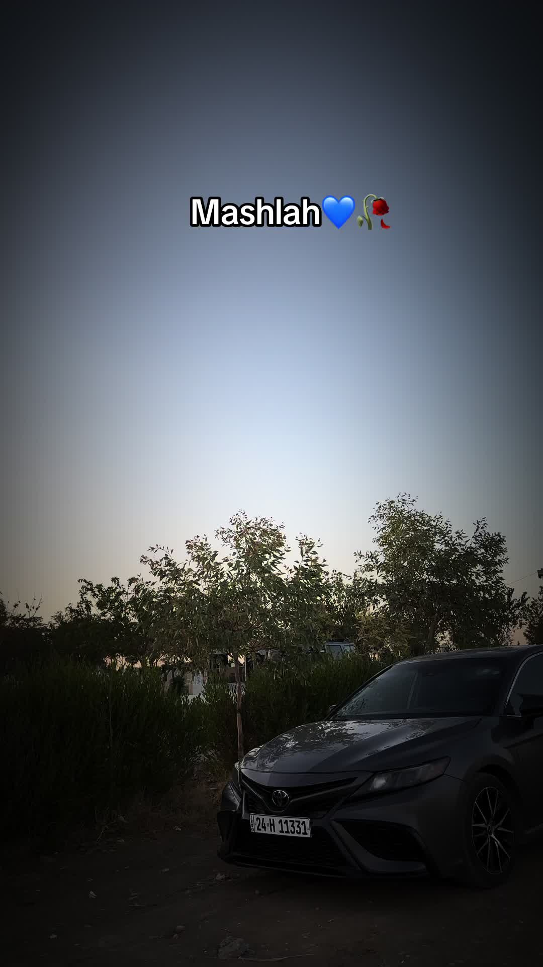 @Z33