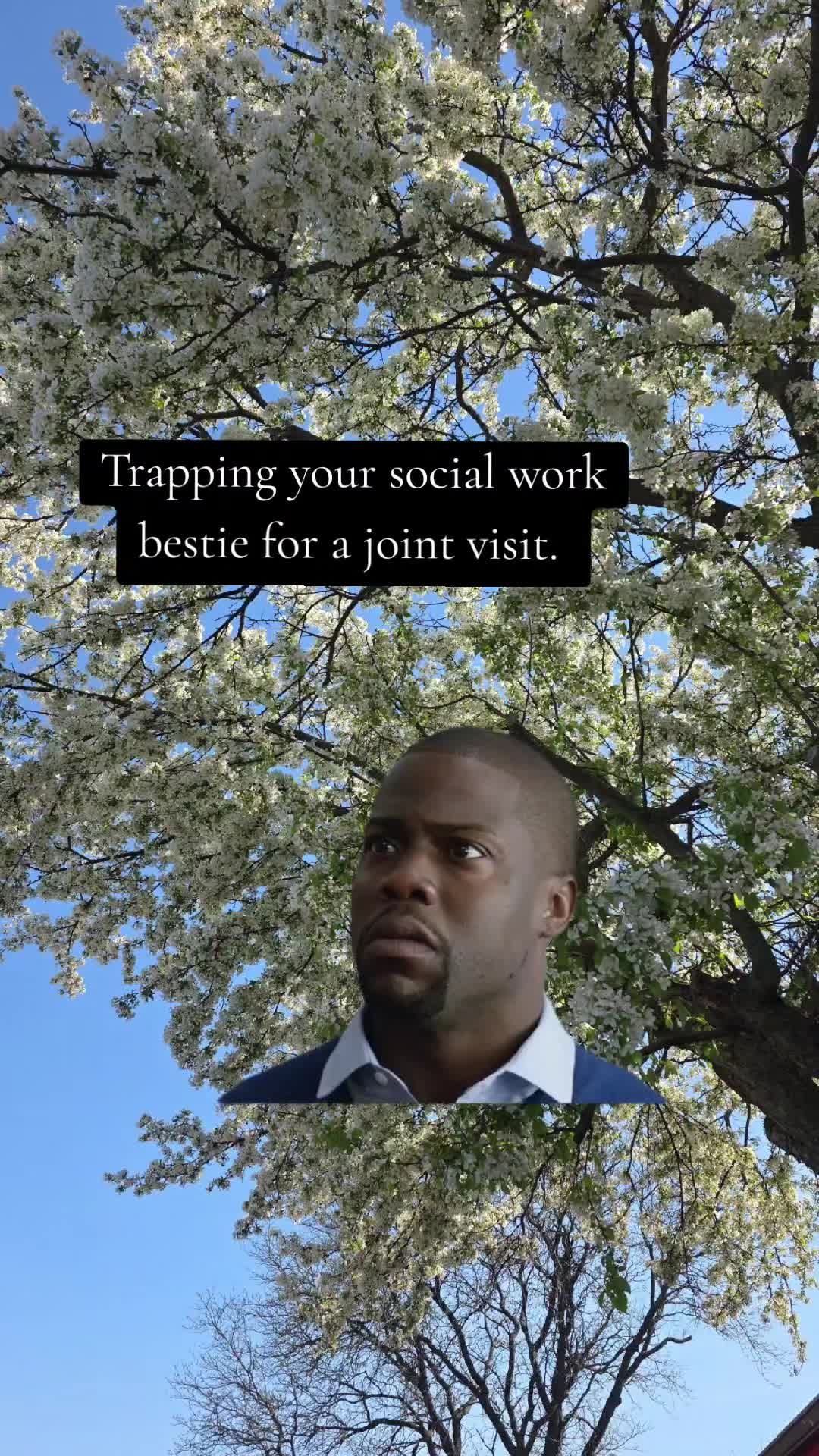 @Noelle