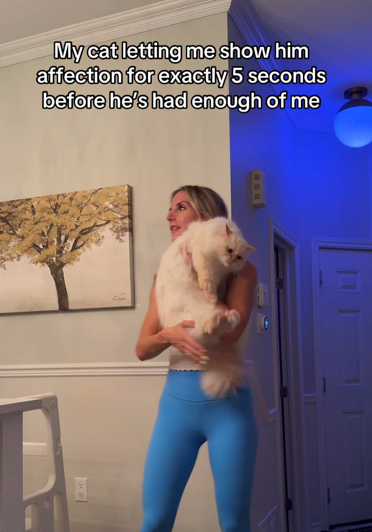 @Krista & Cats: BamBam & Bonnie
