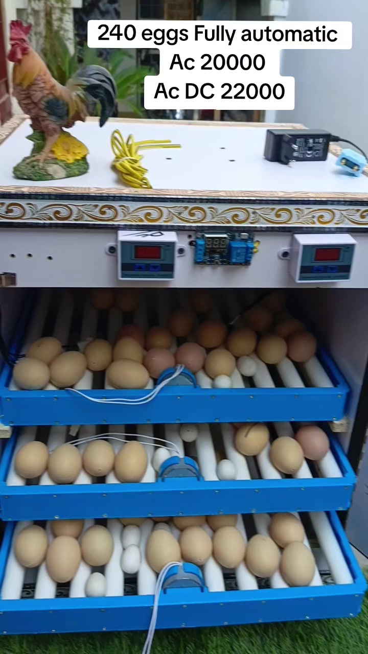 @Hazara Incubators