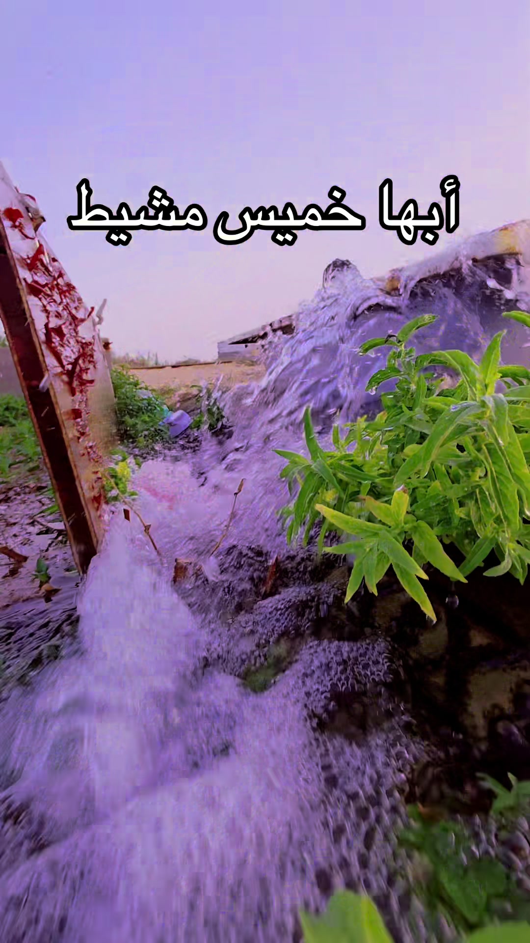 @Lucky_Salman