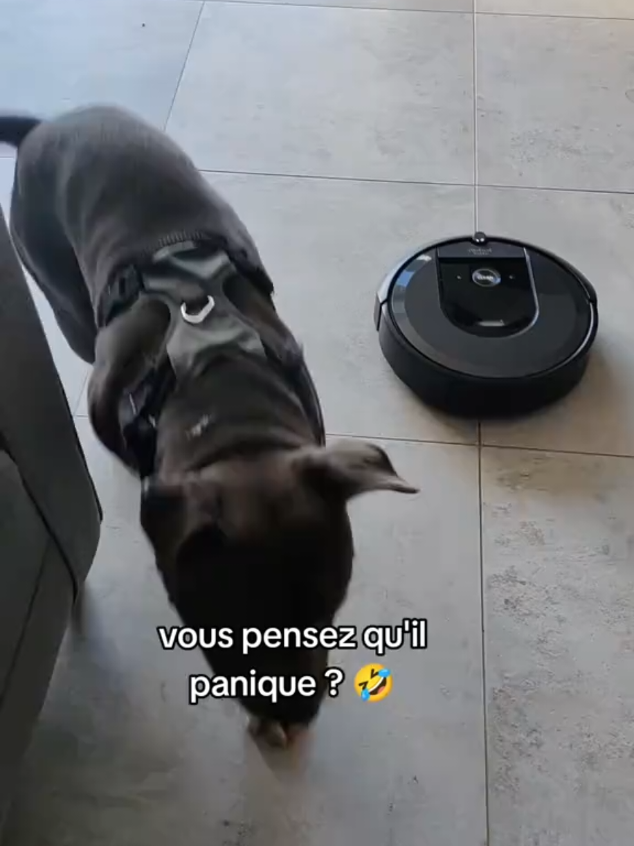 @Asko amstaff