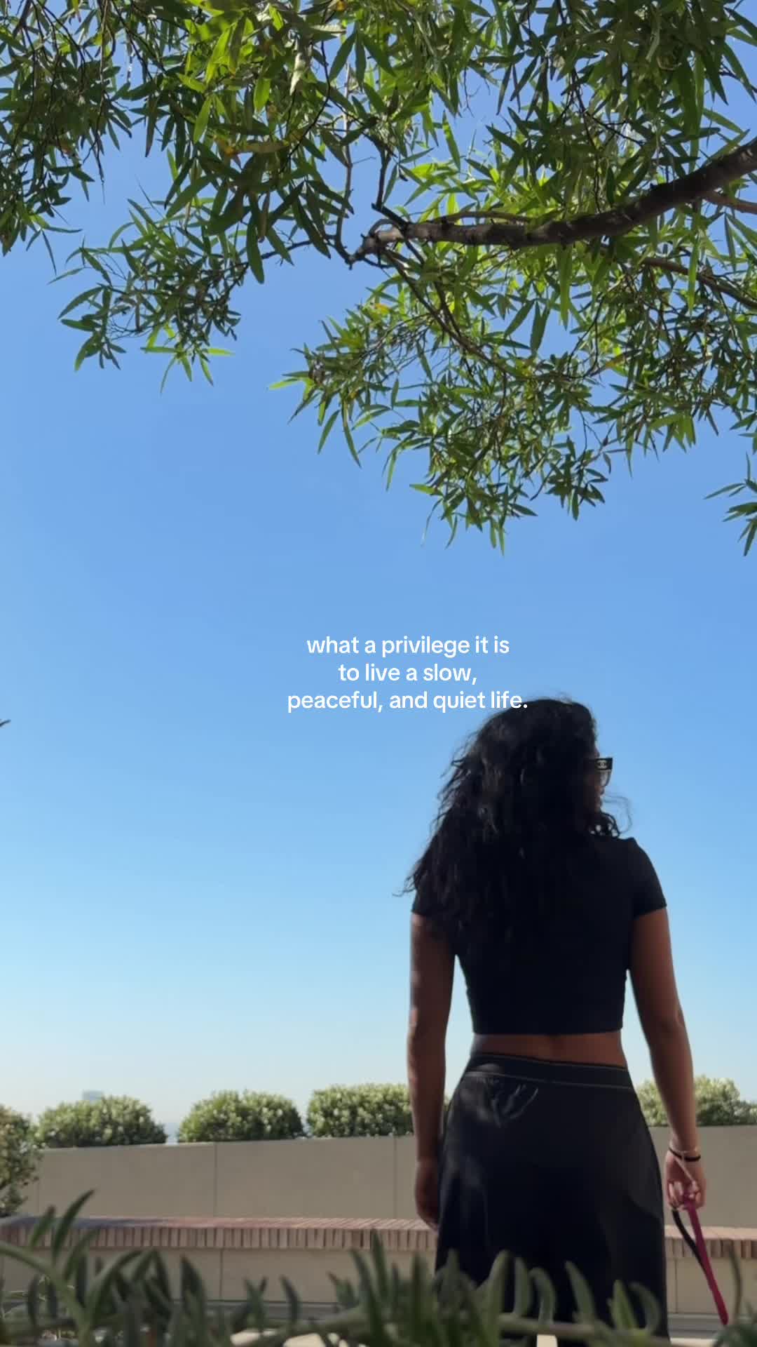 @Marlene Morales