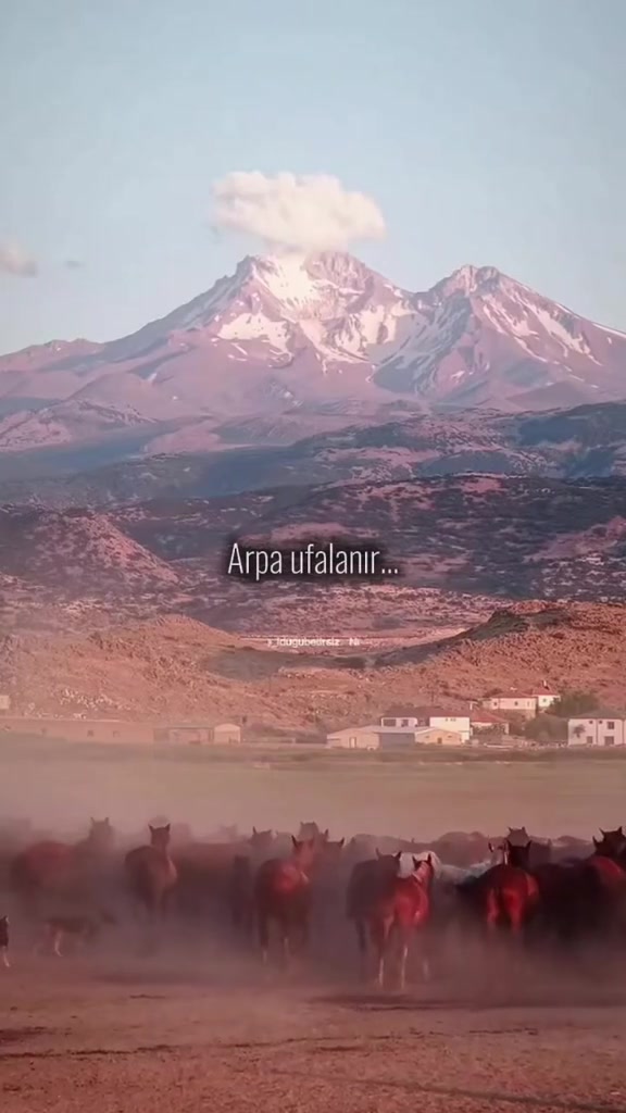 @𝐀𝐑𝐀𝐅-𝐈̇