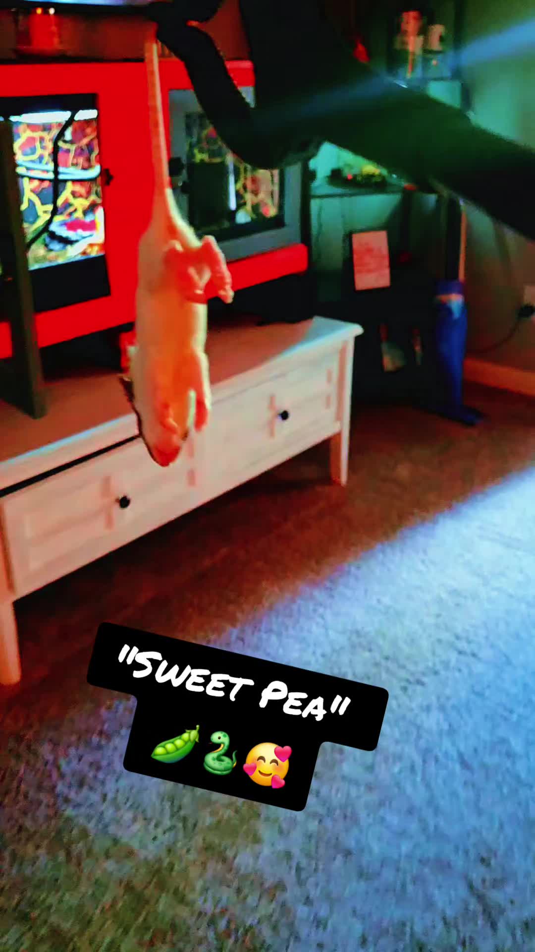 @PaPa PoPeYe