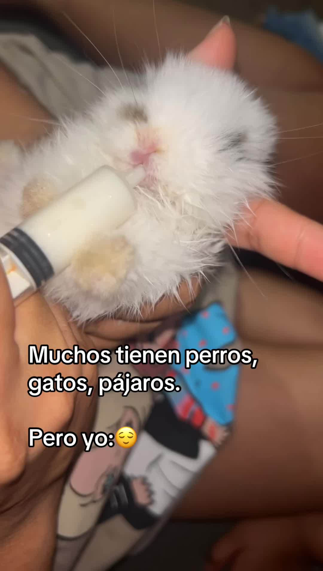 @🧿Mayii-La Mec-xicana🇲🇽