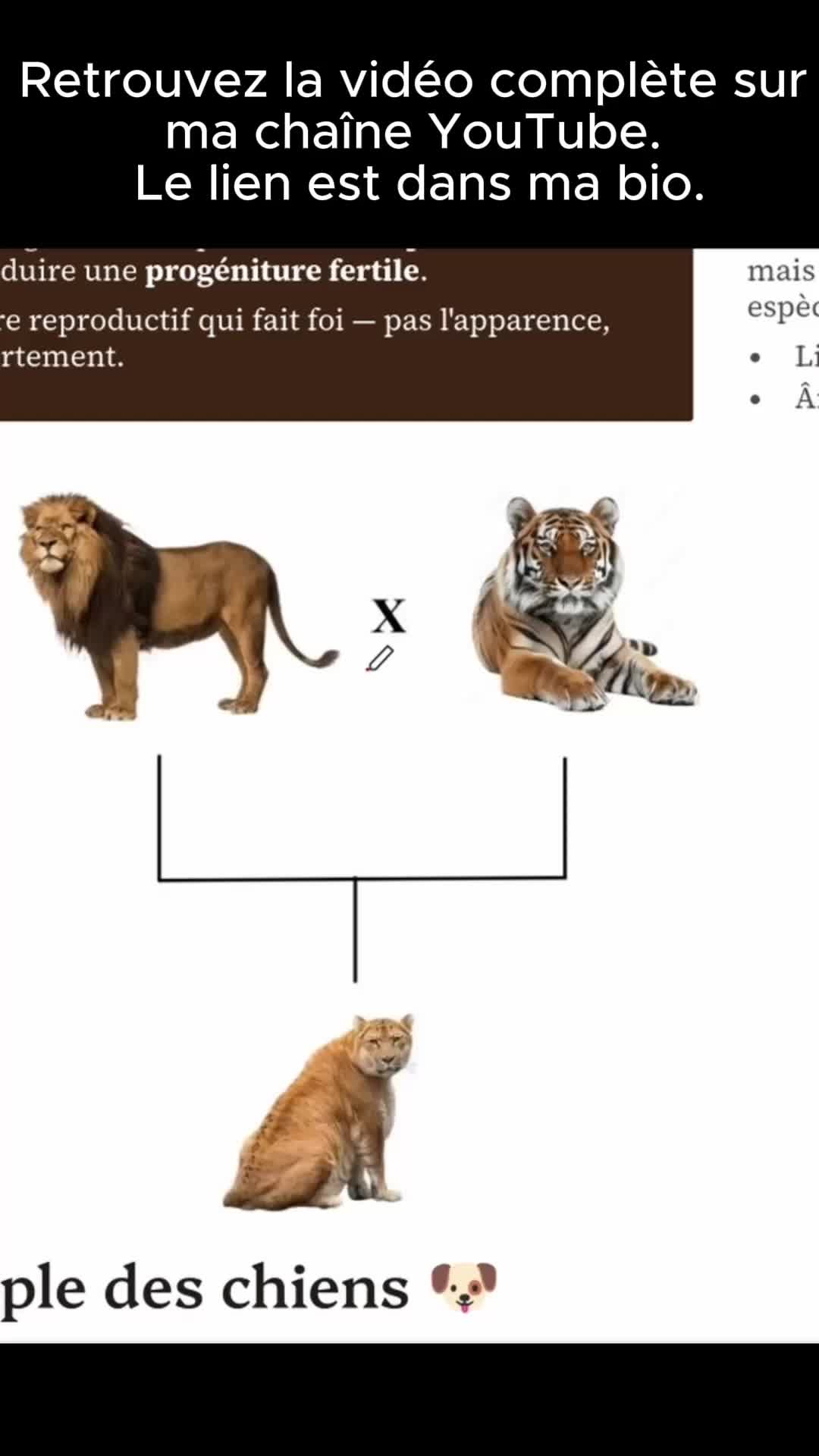 @NovaScienceClass