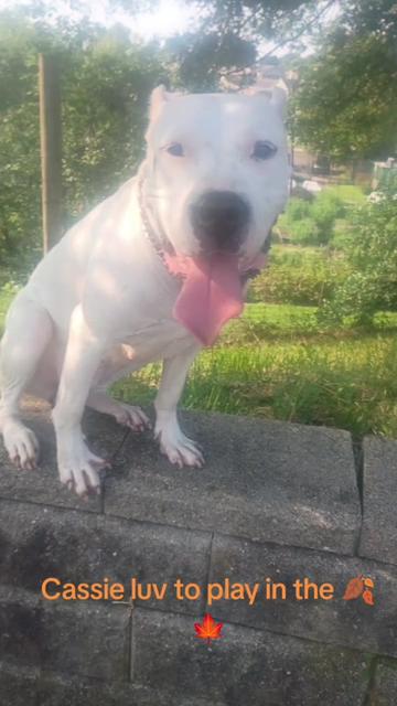 @🐾E-one 🌻Get🐕It♉ Done🪴