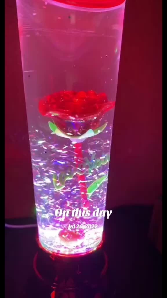@DavidAmyAidenKooiman