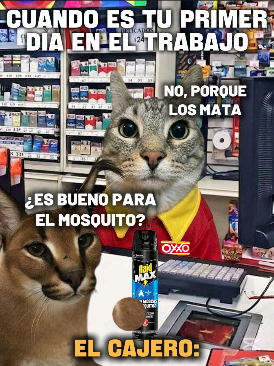 @TIGRITO EN MEMES