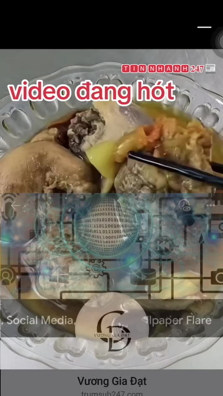 @𝐓𝐑𝐔𝐌𝐒𝐔𝐁𝟮𝟰𝟳.𝐂𝐎𝐌