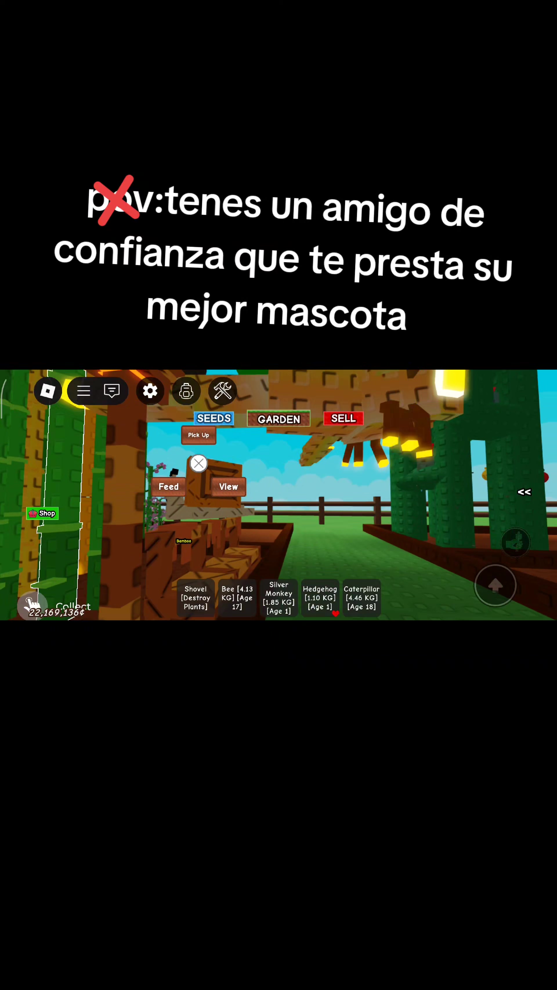 @XplexitoX