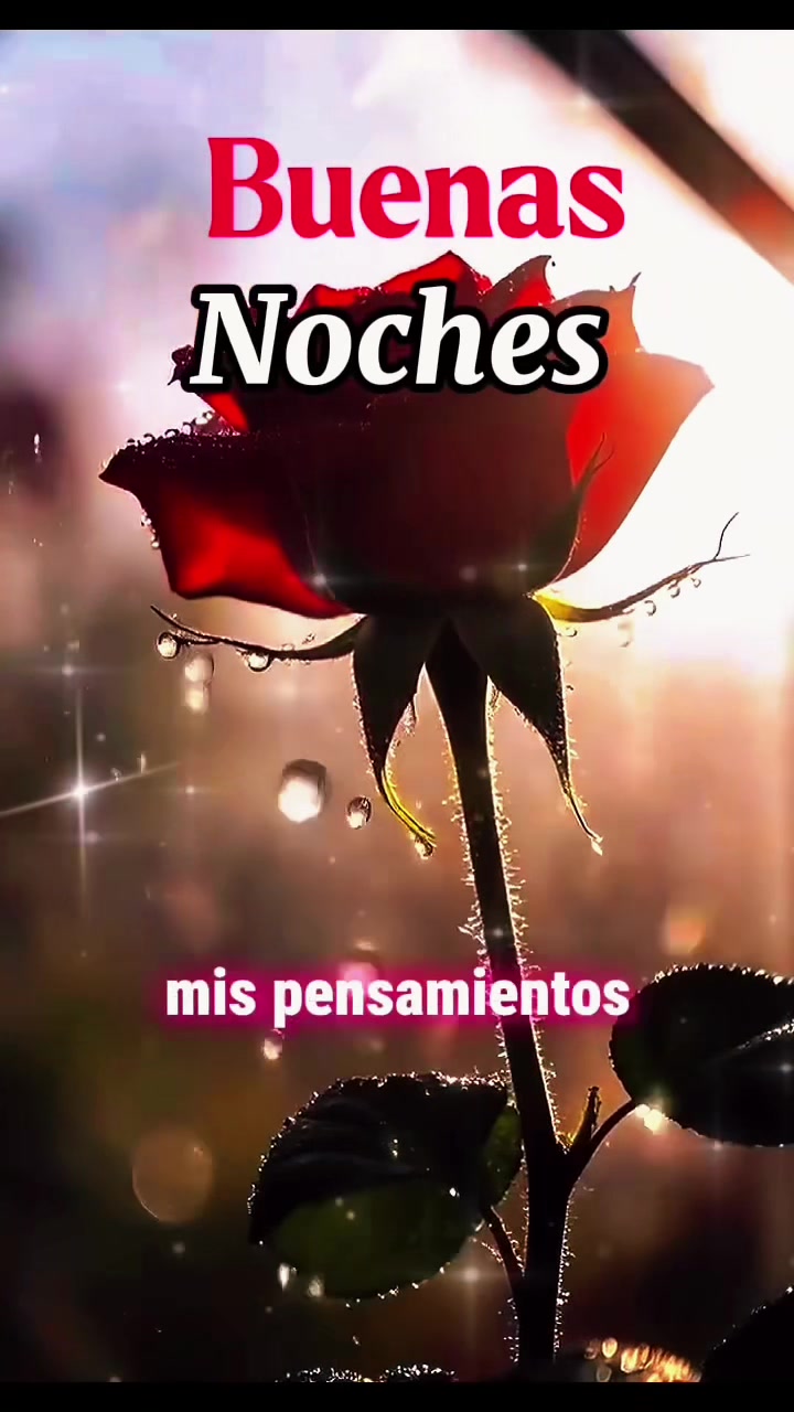 @Palomalucia_24 Cuenta Oficial