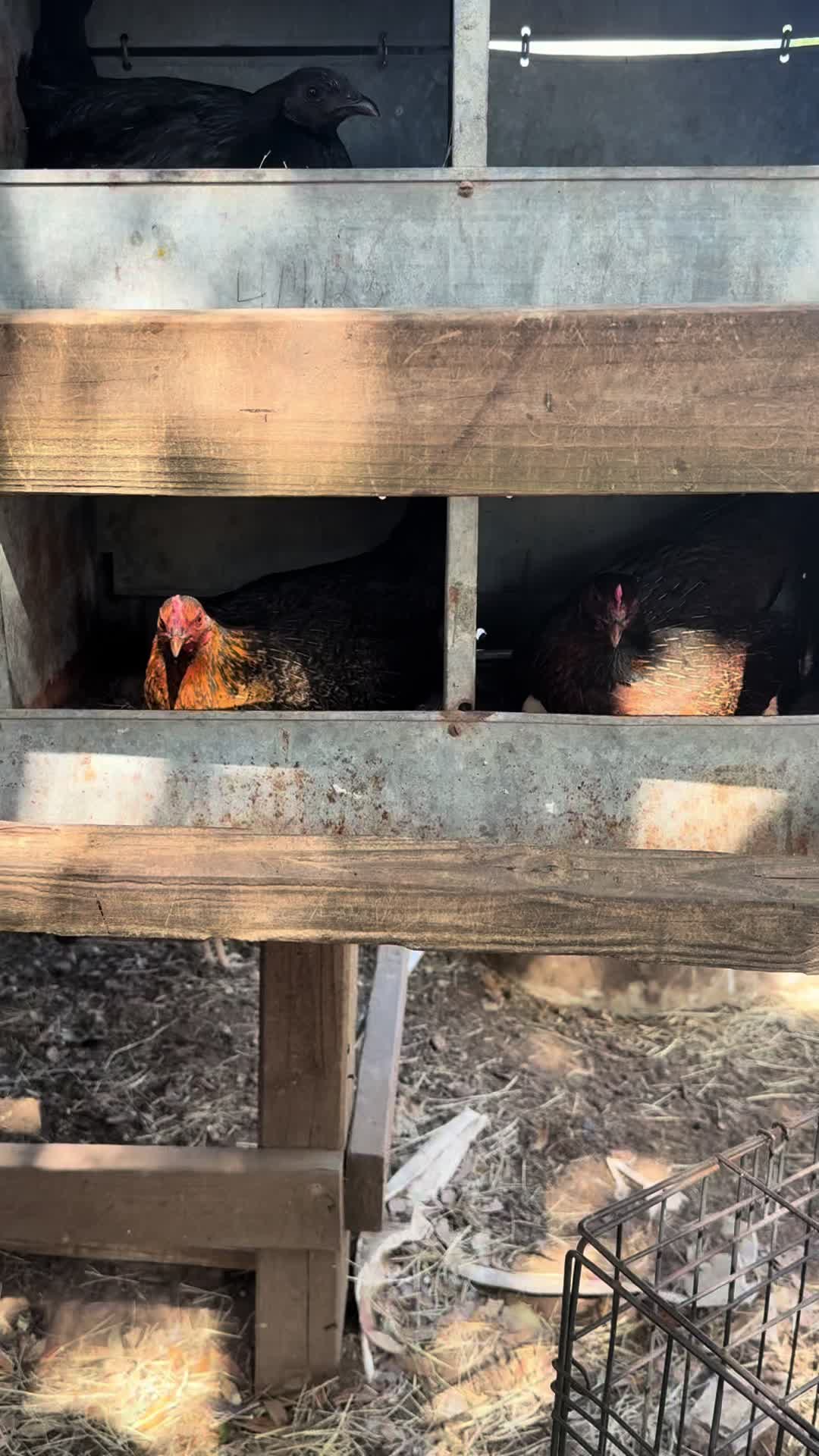 @Bryan Gamefarm