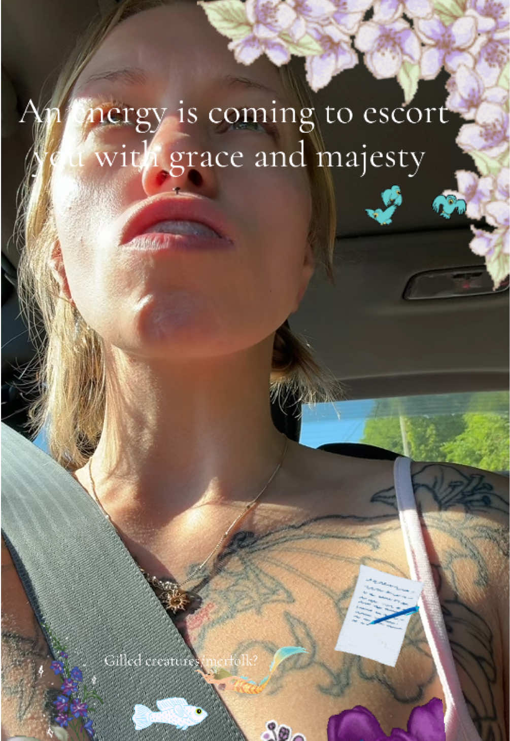 @ceilestewart