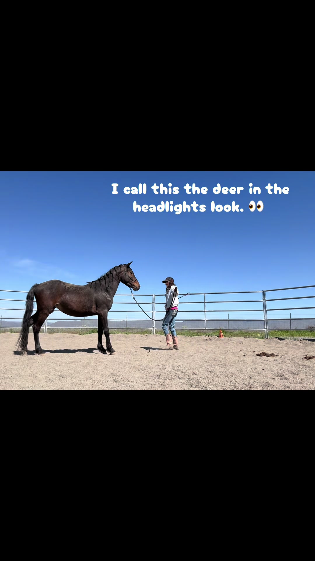 @Cowgirl Tuff Colt Training ❤️