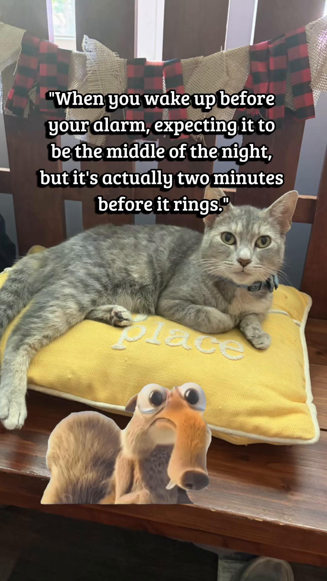 @Michelle Suzanne 1972