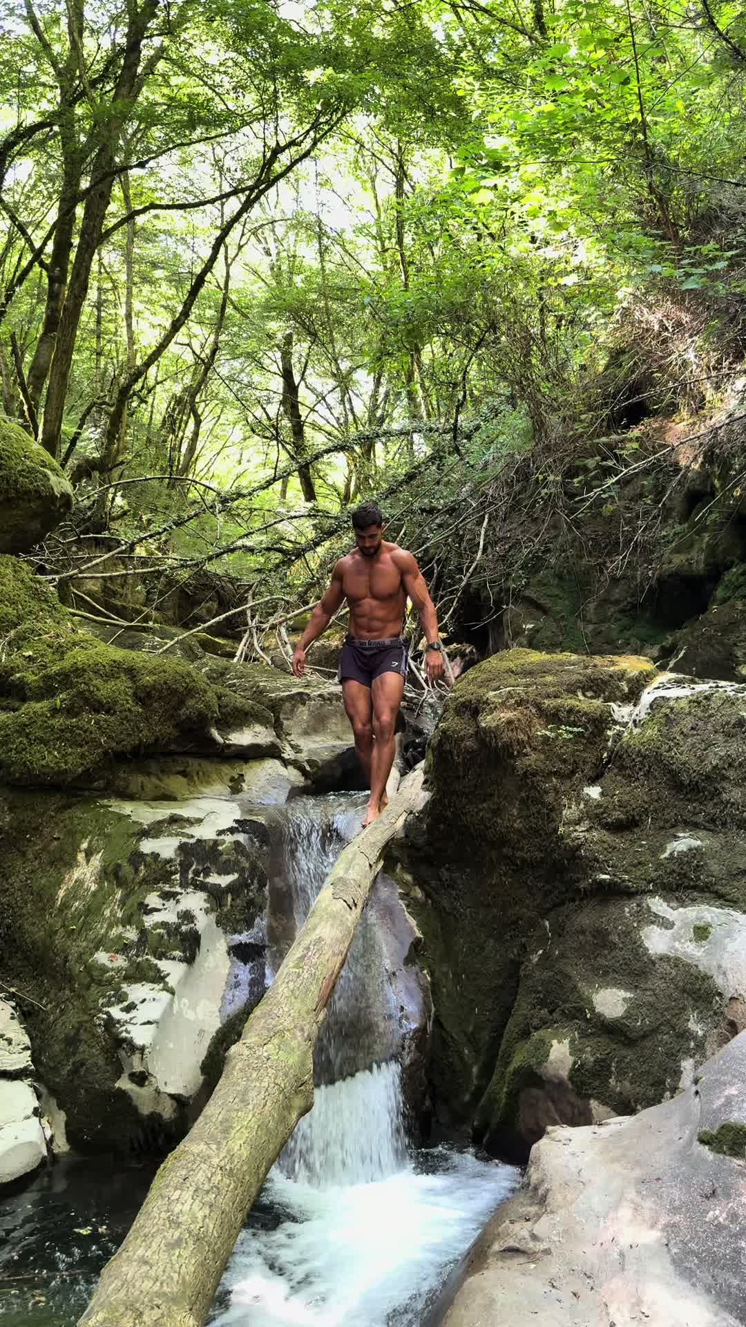 @Niko SanGohan 💥