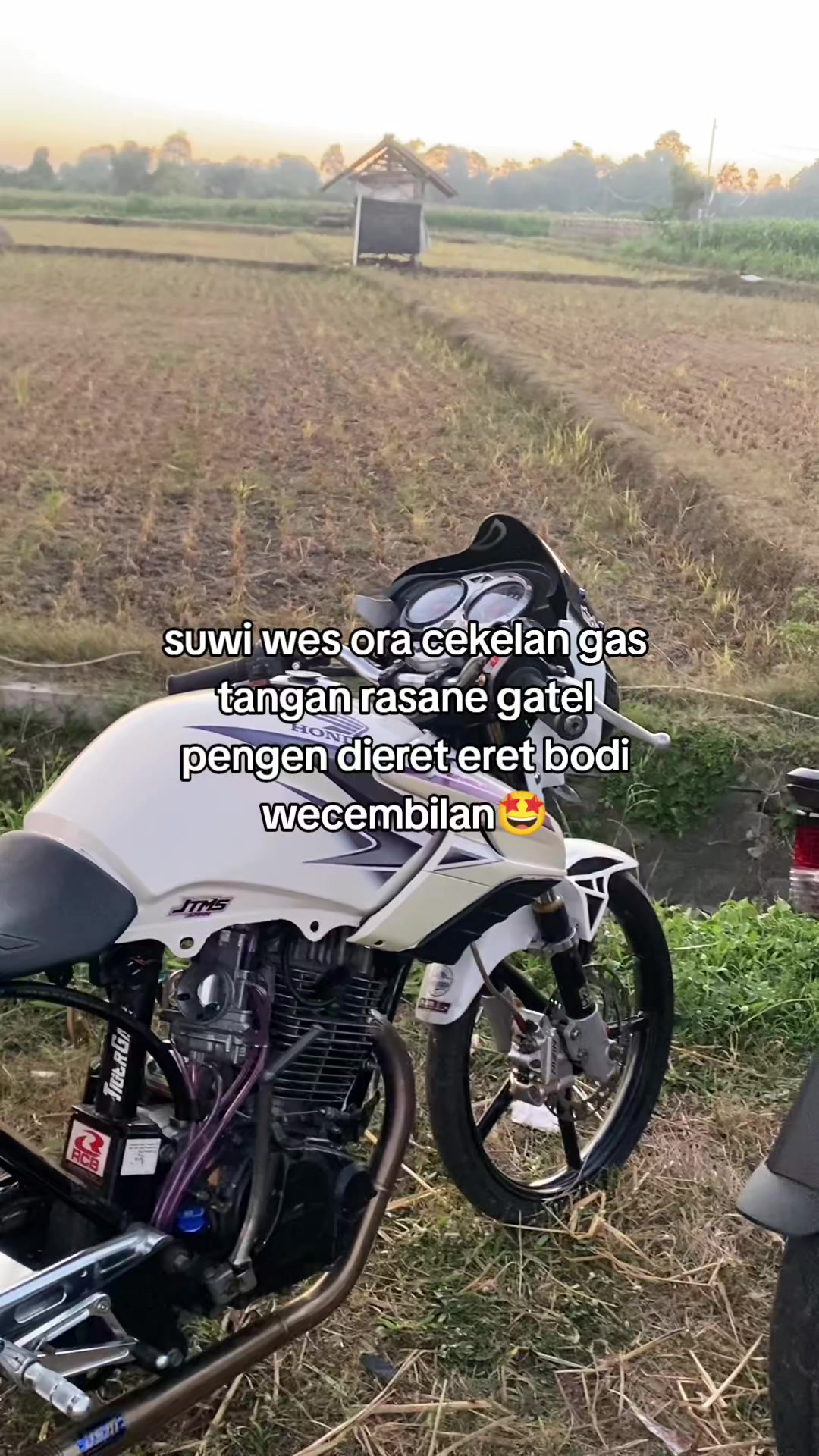 @๐ฐ๐ ๐ธ๐๐๐๐๐๐