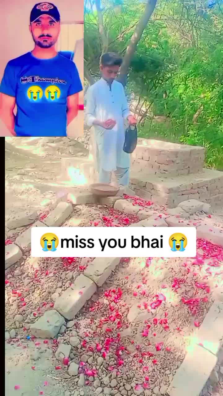 @shakeelbaloch534