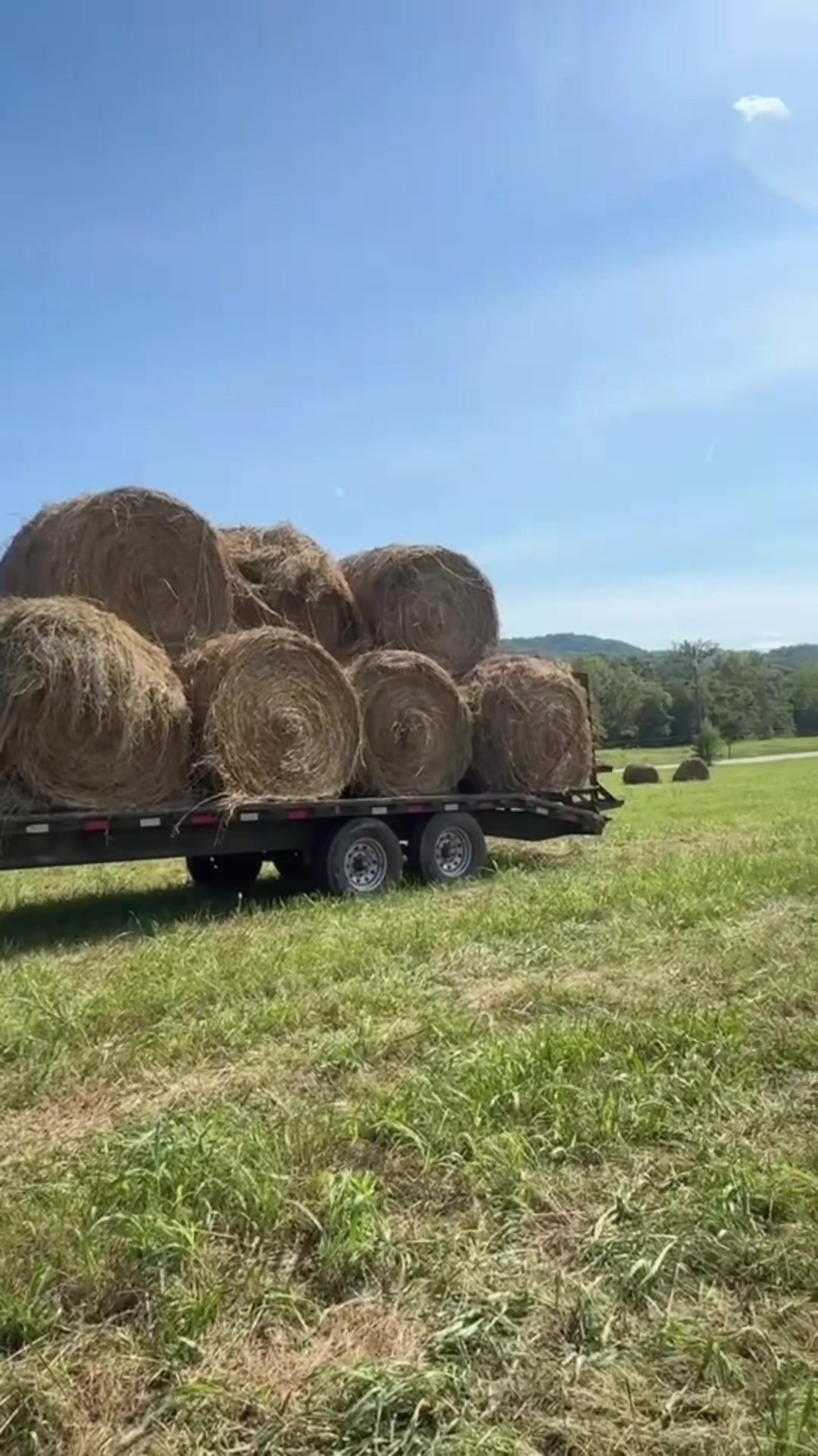 @tripleclivestock