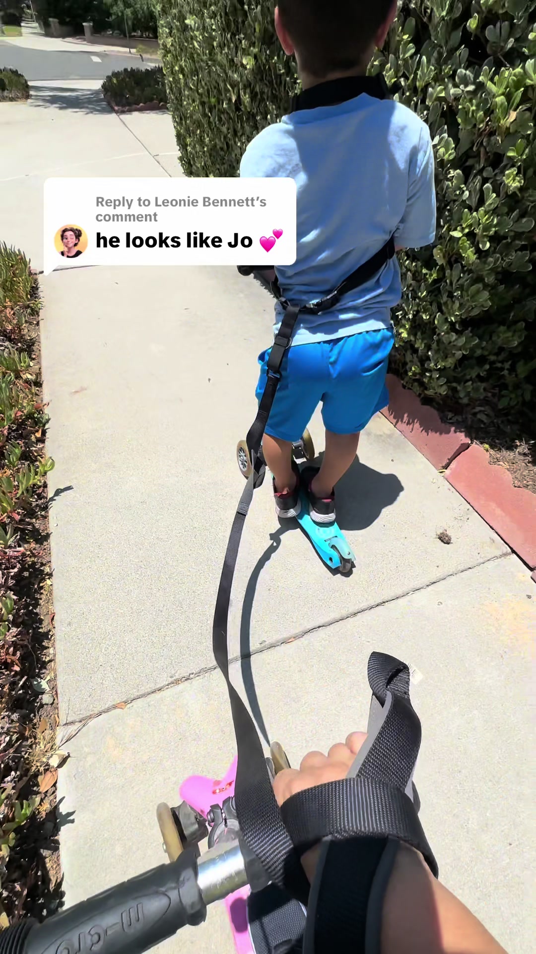 @Terra Jolé
