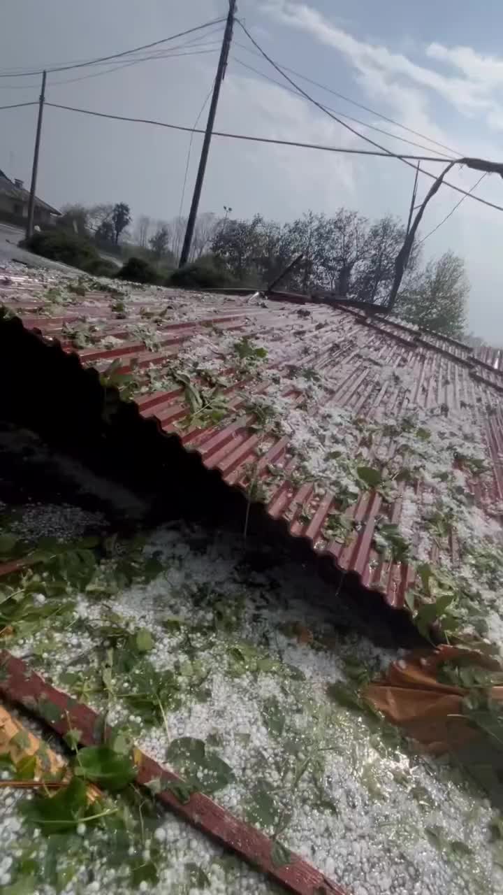 @Weather Insider