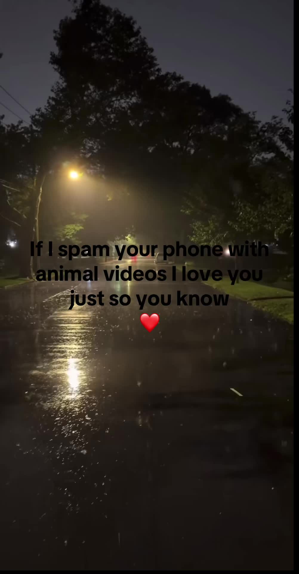 @⦻💉 ཽ༵༒𝓼𝓪𝓹𝓱𝓲𝓻𝓮༒࿐ཽ༵ 💉⦻
