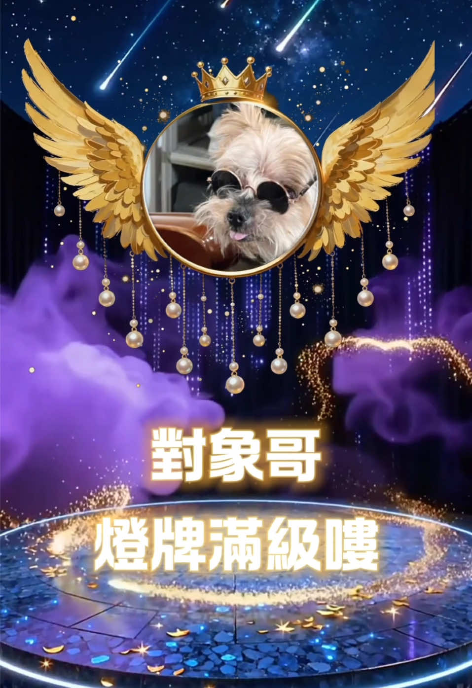 @迷糊洋洋⁶⁸⁹