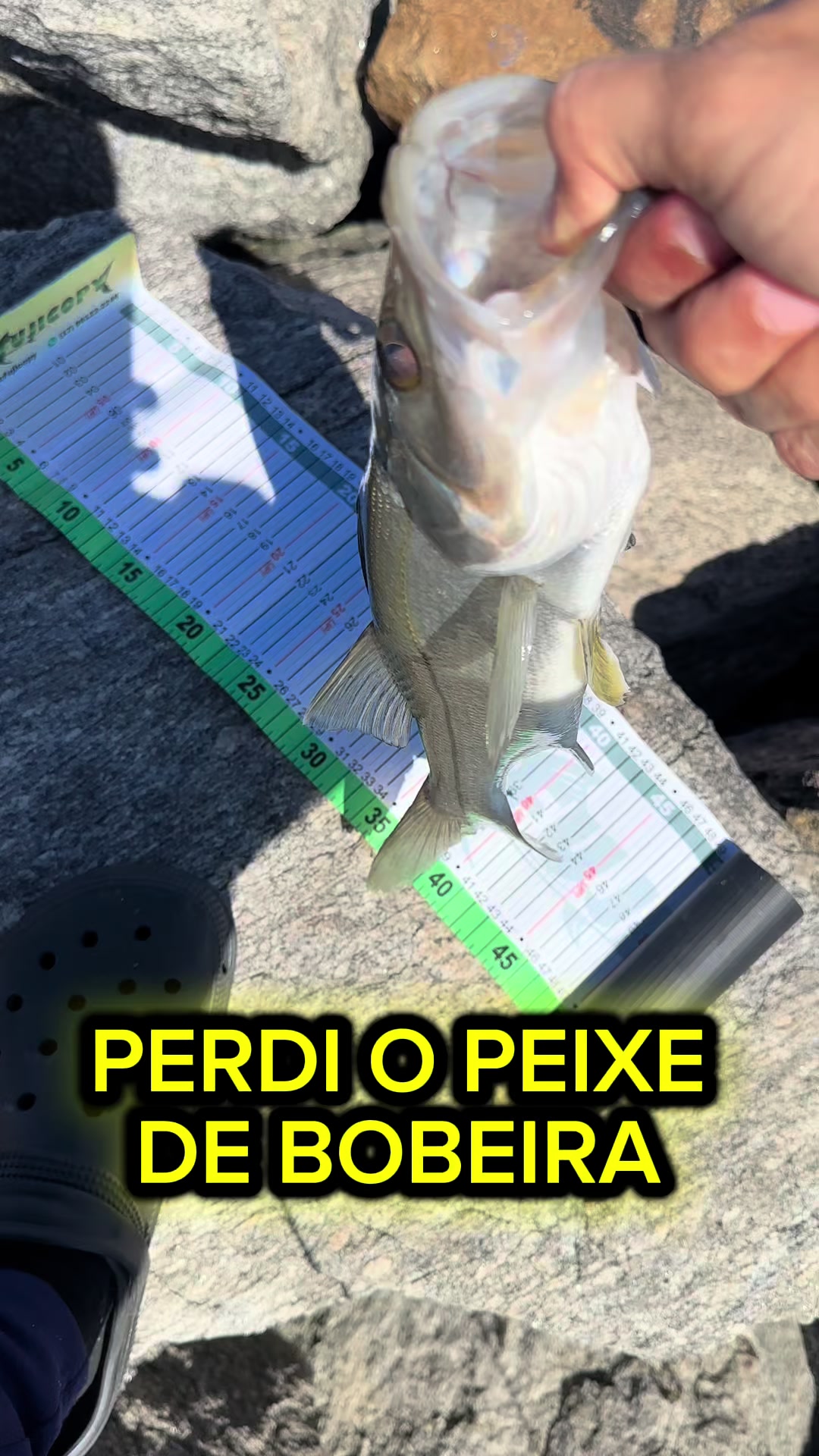 @Bideu Fishing