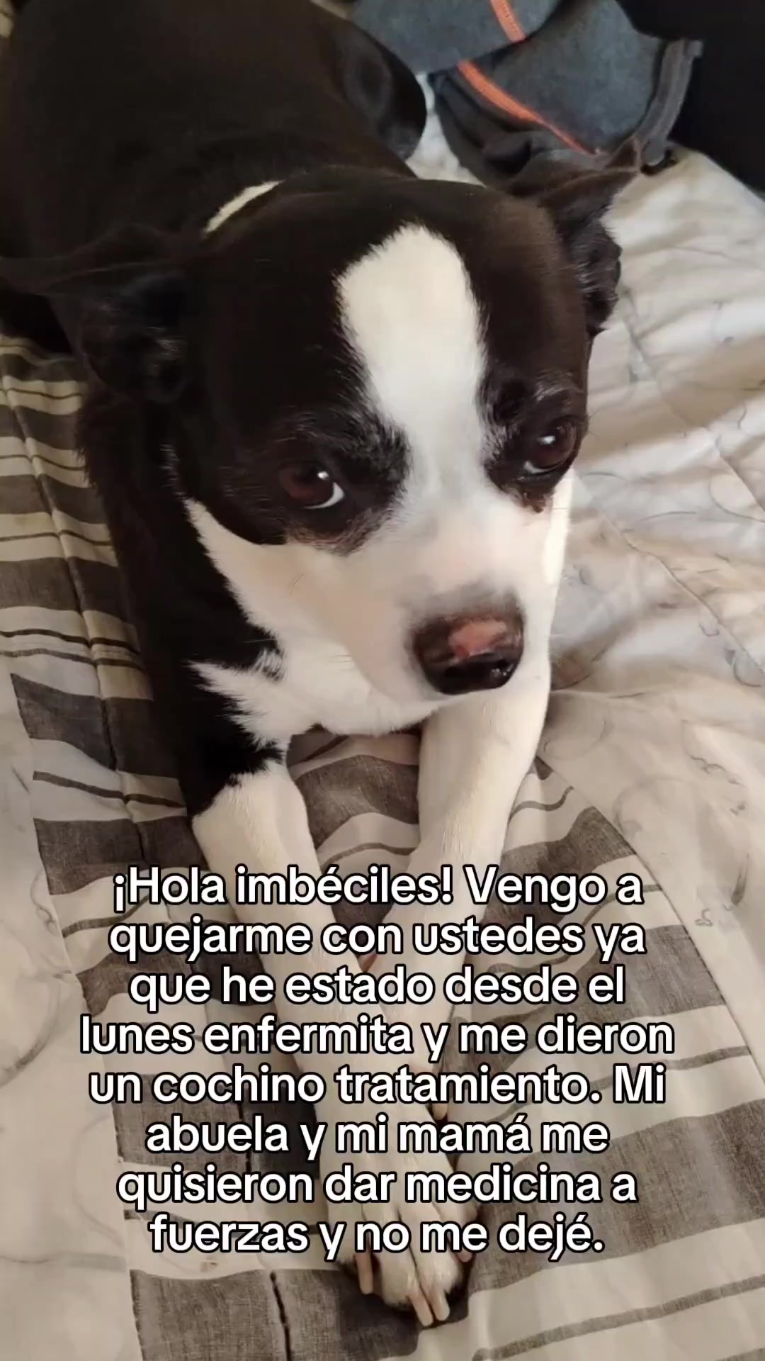 @Majo Harrison