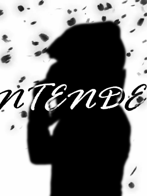 @aauto.editss